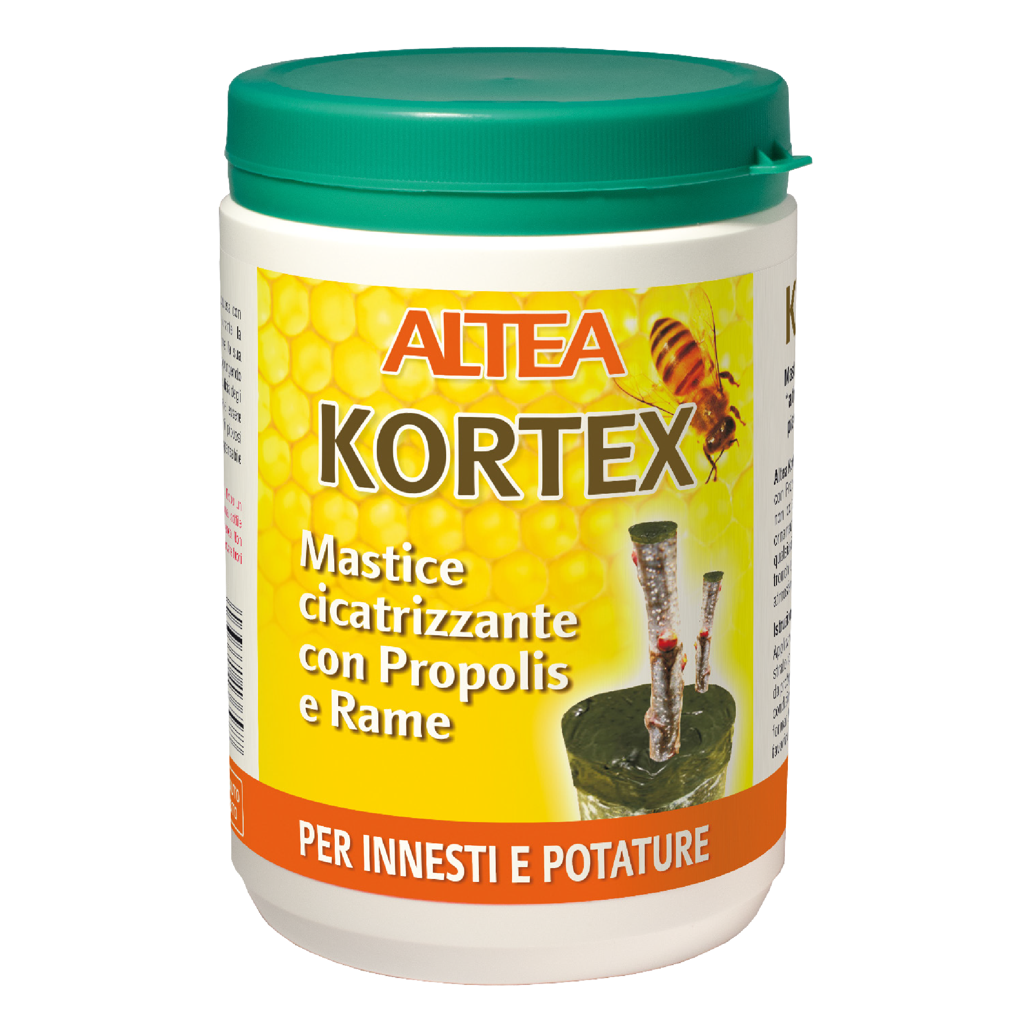 KORTEX – Altea