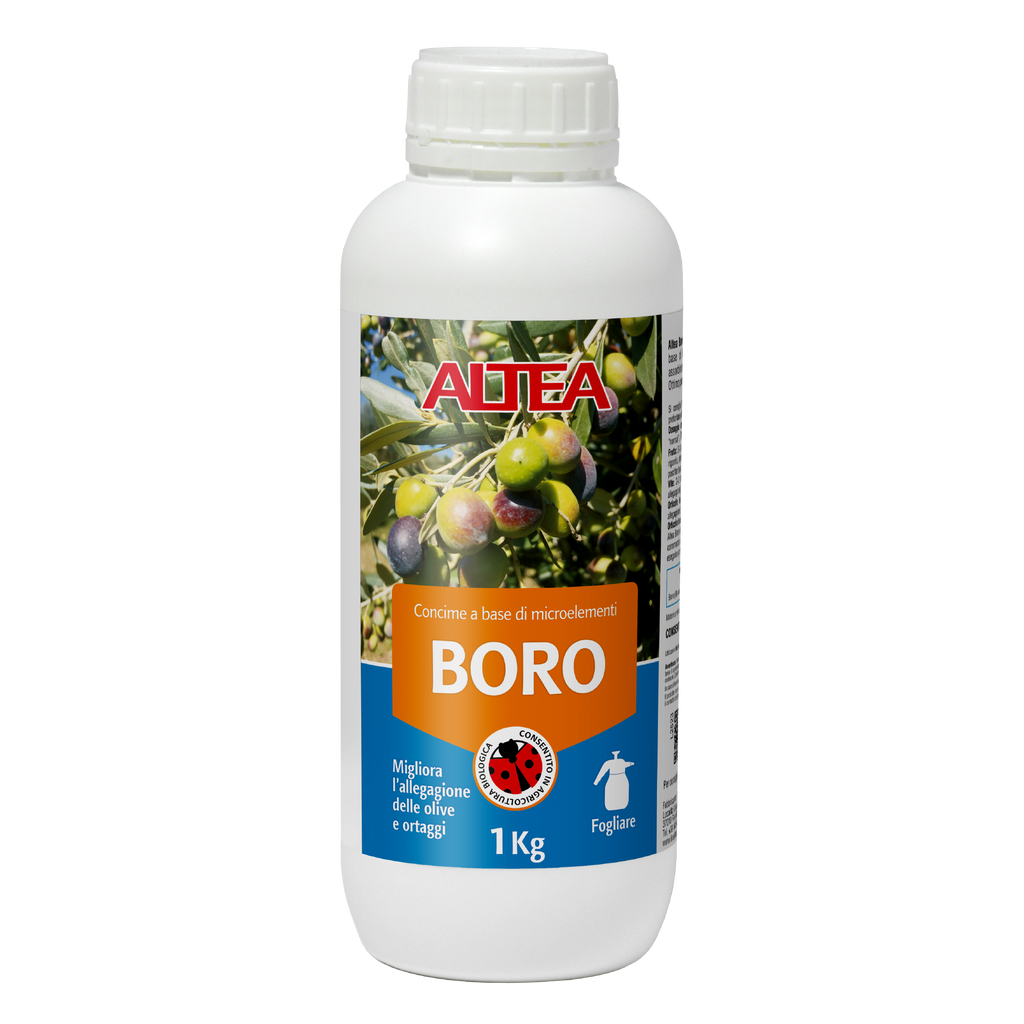 BORO Altea BORO Altea