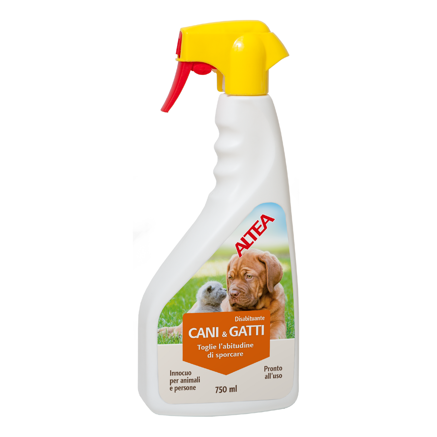 CANI E GATTI