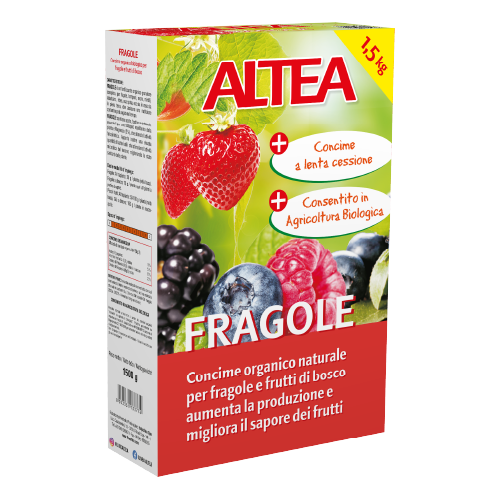 FRAGOLE