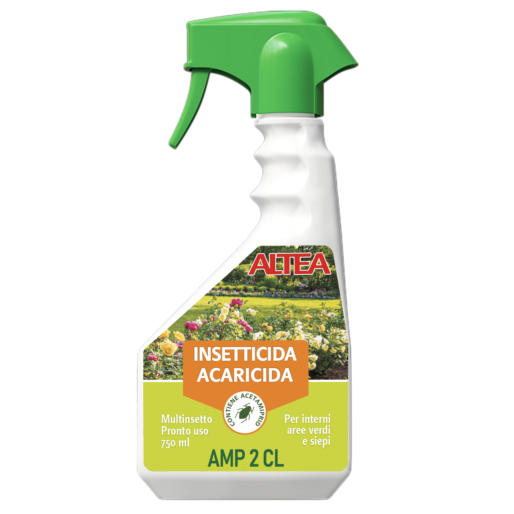 AMP 2 CL – Altea