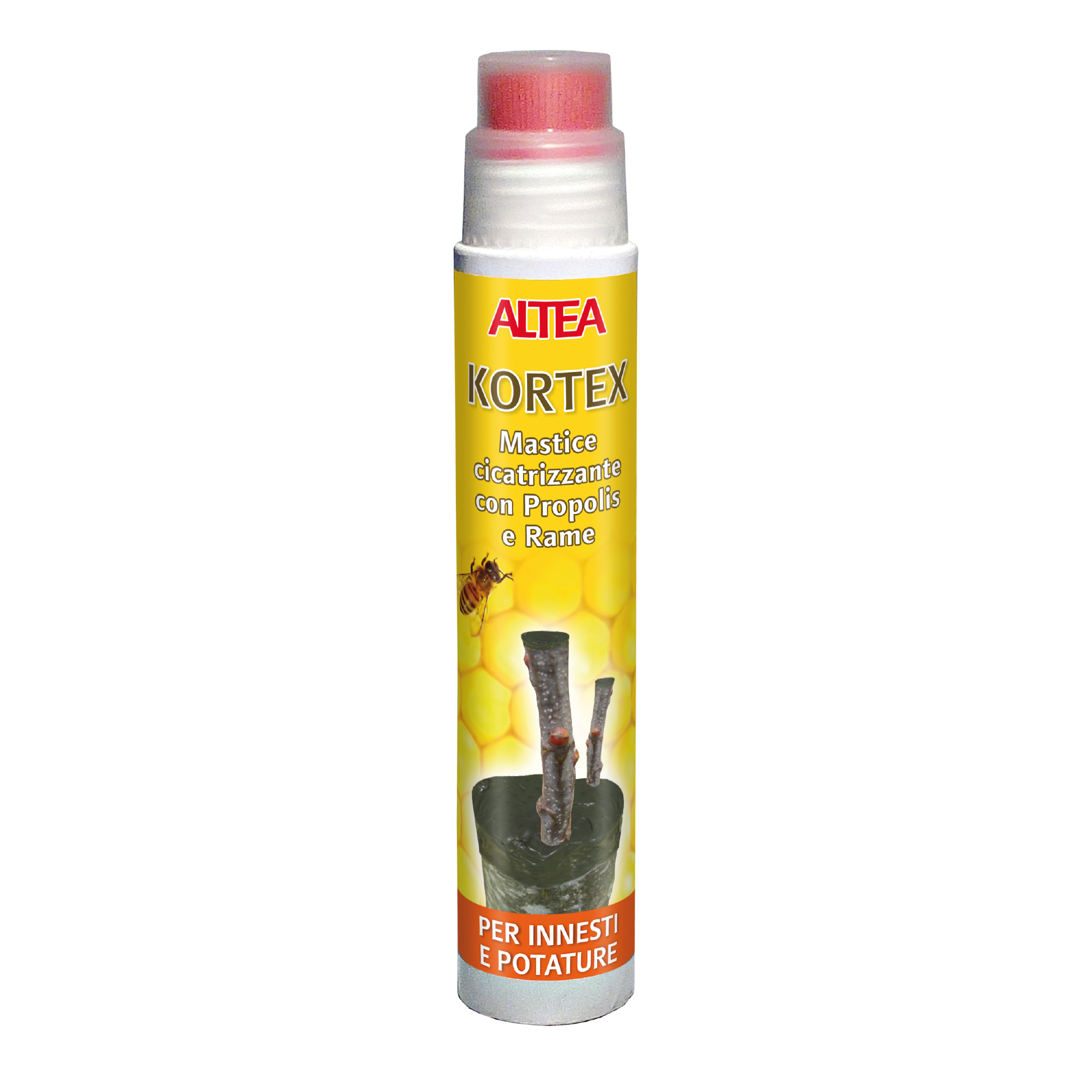 KORTEX – Altea