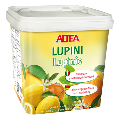 LUPINI