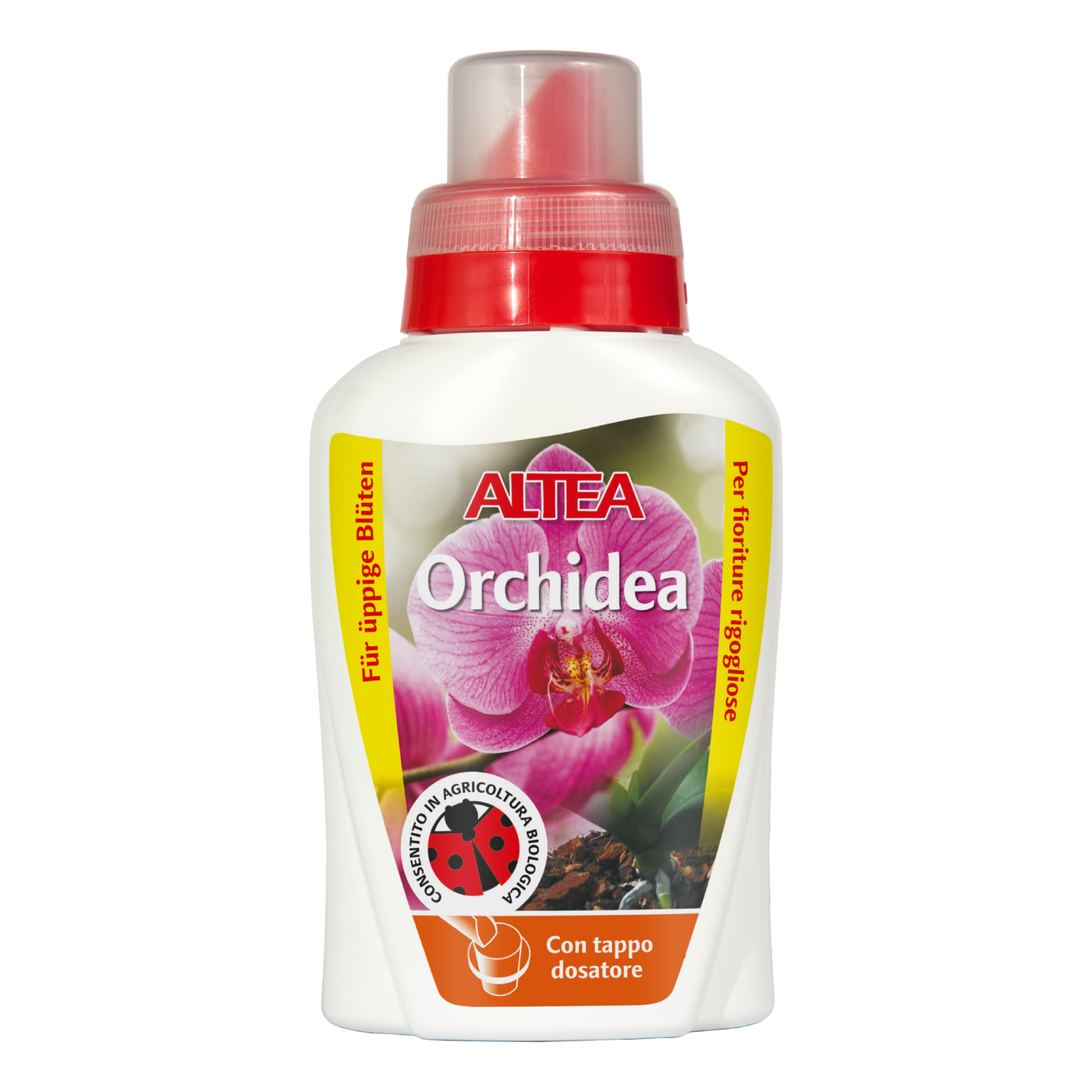 ORCHIDEA