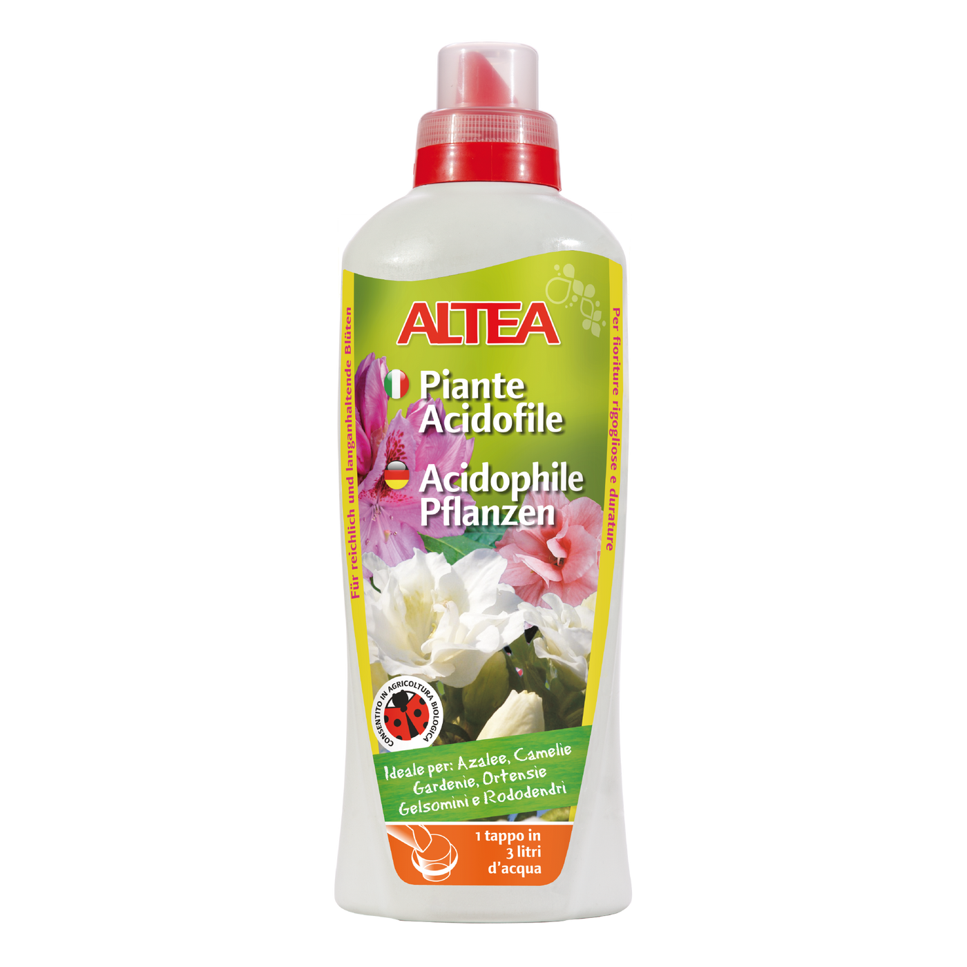 PIANTE ACIDOFILE