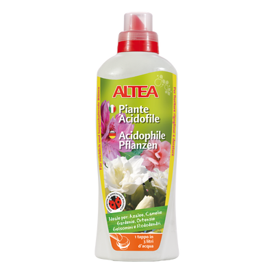 PIANTE ACIDOFILE