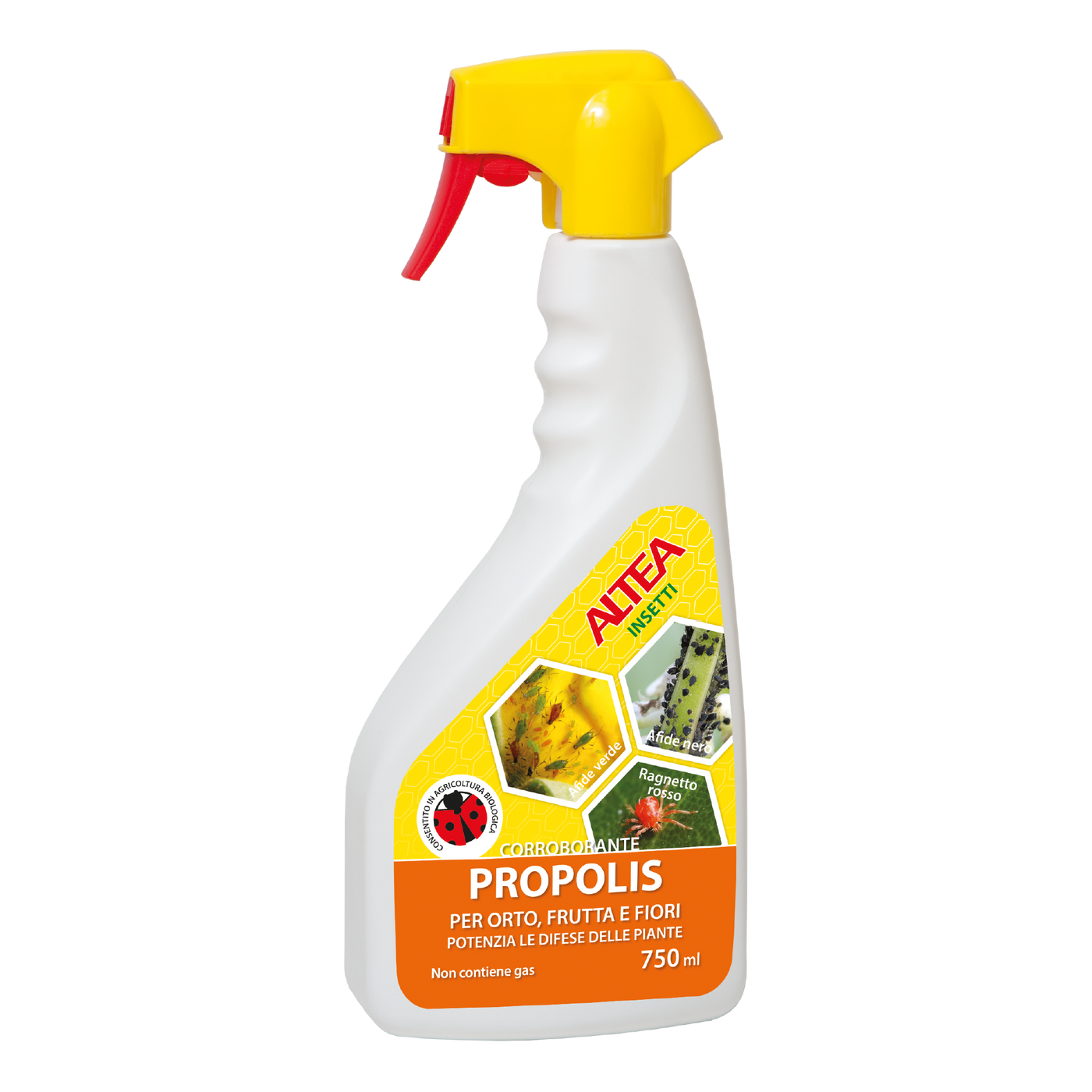 PROPOLIS I TRIGGER