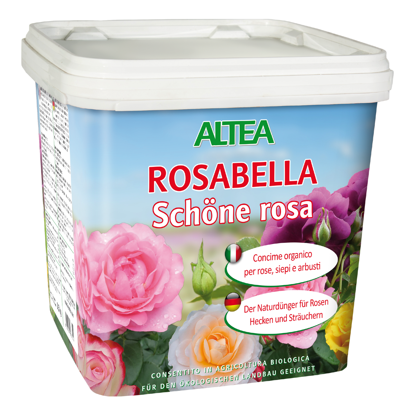 ROSABELLA