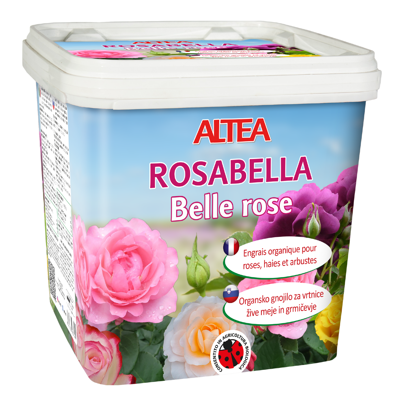 ROSABELLA