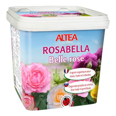 ROSABELLA