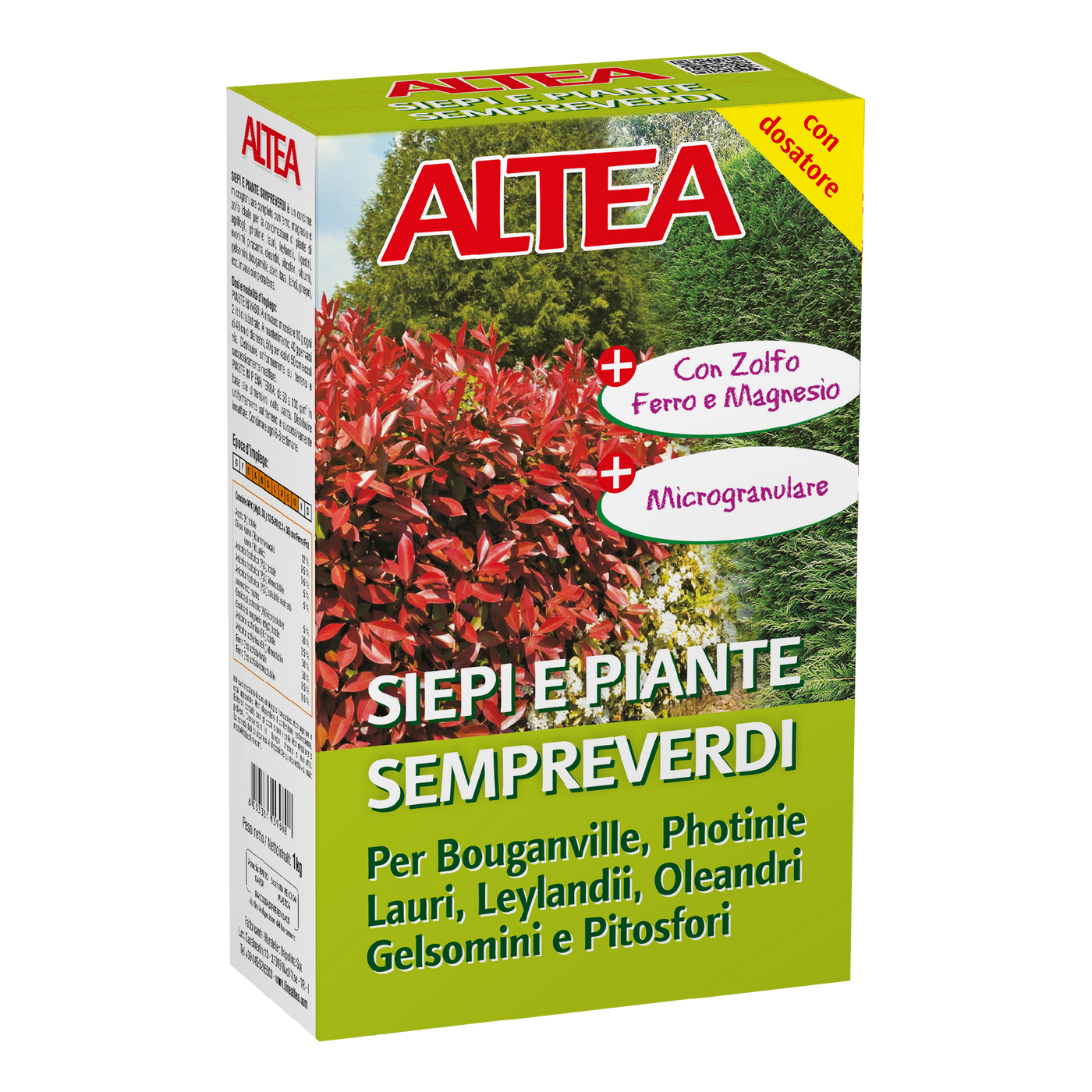 SIEPI E PIANTE SEMPREVERDI